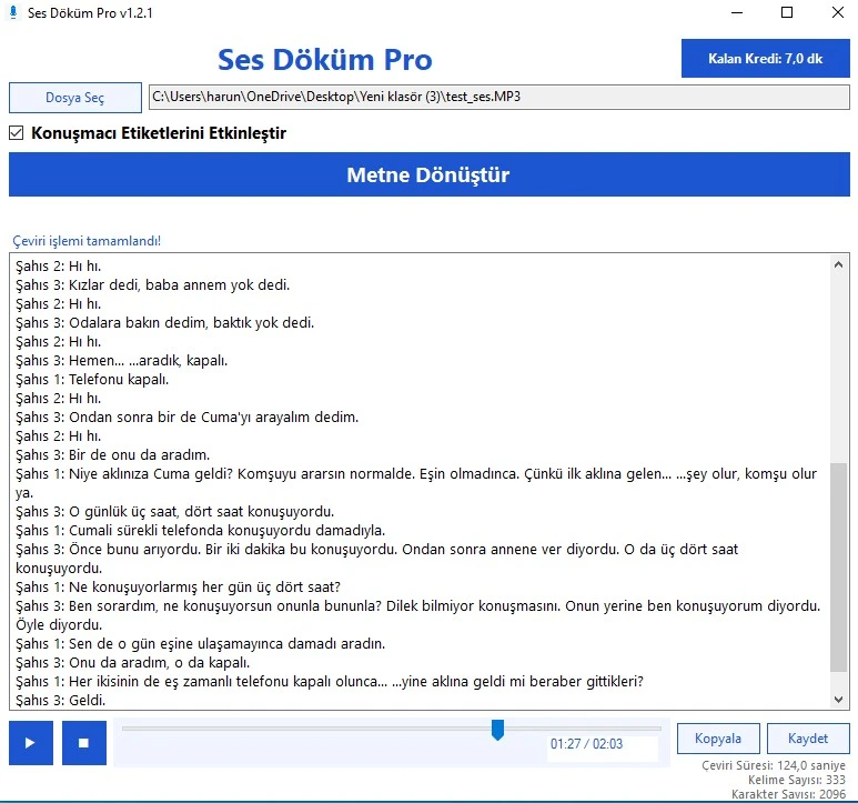 Ses Döküm Pro Ekran Görüntüsü